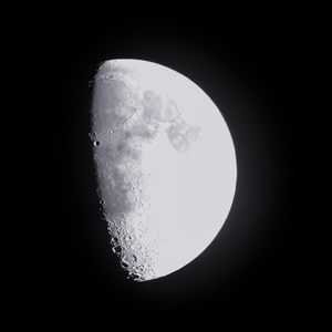 Meet your Posher, Yasem